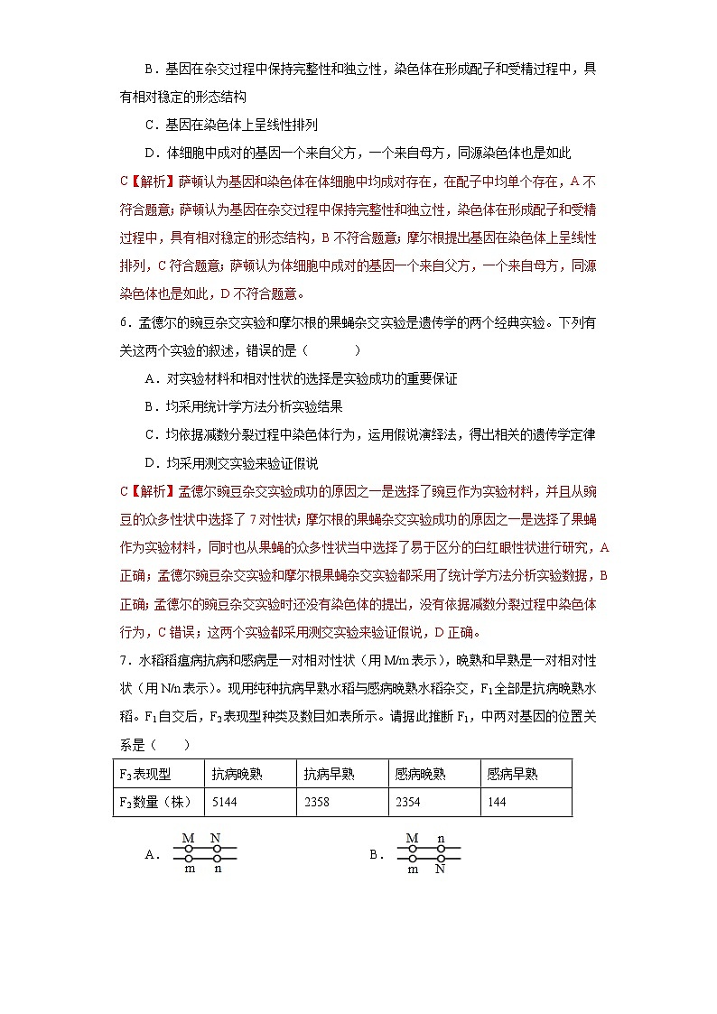 第二章 第二节 基因伴随染色体传递-高一生物课件+练习（原卷+解析卷）（浙科版2019必修2）03