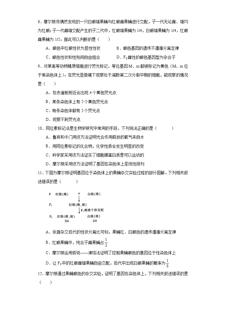 第二章 第二节 基因伴随染色体传递-高一生物课件+练习（原卷+解析卷）（浙科版2019必修2）03