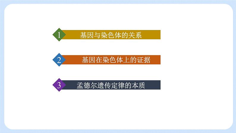 第二章 第二节 基因伴随染色体传递-高一生物课件+练习（原卷+解析卷）（浙科版2019必修2）06