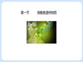 第三章 第一节  核酸是遗传物质（课件）-高一生物课件（浙科版2019必修2）