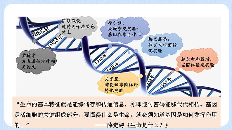 第三章  第二节  遗传信息编码在DNA分子上（课件）-高一生物课件（浙科版2019必修2）05