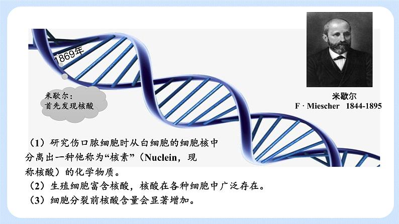 第三章  第二节  遗传信息编码在DNA分子上（课件）-高一生物课件（浙科版2019必修2）06