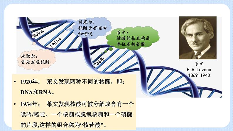 第三章  第二节  遗传信息编码在DNA分子上（课件）-高一生物课件（浙科版2019必修2）08