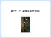 第三章 第三节  DNA通过复制传递遗传信息（课件）-高一生物课件（浙科版2019必修2）