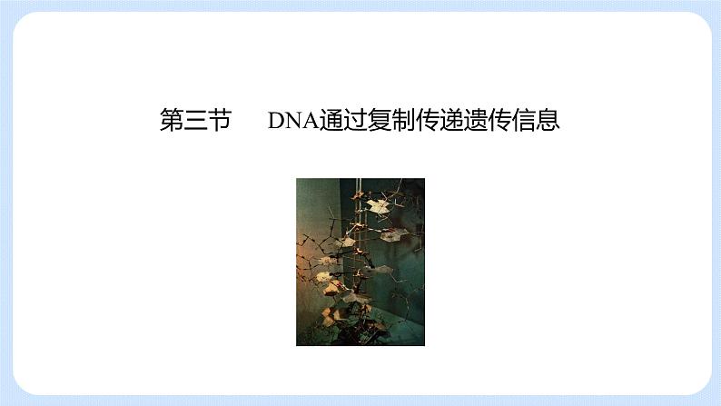 第三章 第三节  DNA通过复制传递遗传信息（课件）-高一生物课件（浙科版2019必修2）03