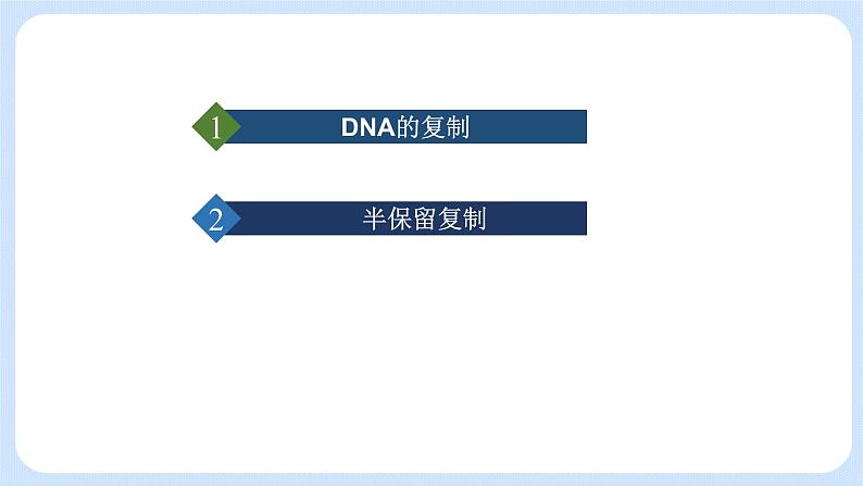 第三章 第三节  DNA通过复制传递遗传信息（课件）-高一生物课件（浙科版2019必修2）04