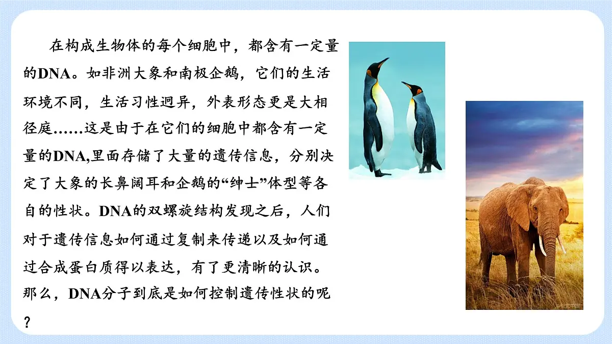 第三章 第四节 基因控制蛋白质合成（第1课时）（课件）-高一生物课件（浙科版2019必修2）第2页