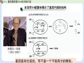 第三章 第四节 基因控制蛋白质合成（第1课时）（课件）-高一生物课件（浙科版2019必修2）
