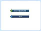 第三章 第四节  基因控制蛋白质合成（第2课时）（课件）-高一生物课件（浙科版2019必修2）