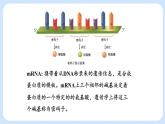 第三章 第四节  基因控制蛋白质合成（第2课时）（课件）-高一生物课件（浙科版2019必修2）