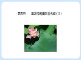 第三章 第四节  基因控制蛋白质合成（第3课时）（课件）-高一生物课件（浙科版2019必修2）