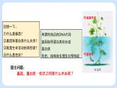 第三章 第四节  基因控制蛋白质合成（第3课时）（课件）-高一生物课件（浙科版2019必修2）