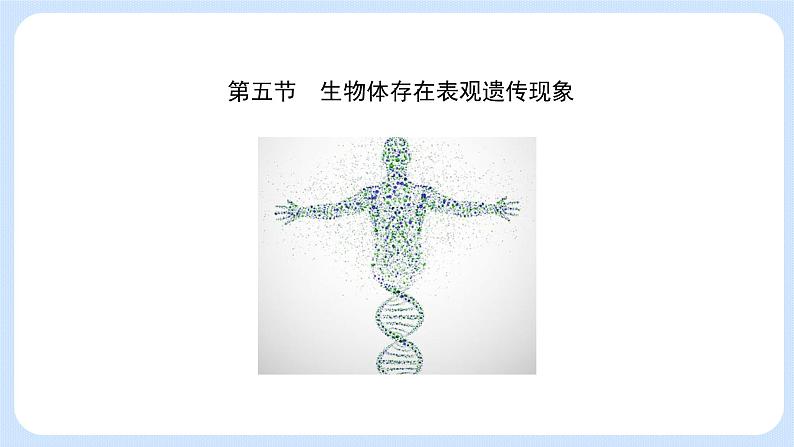 第三章 第五节 生物体存在表观遗传现象（课件）-高一生物课件（浙科版2019必修2）03