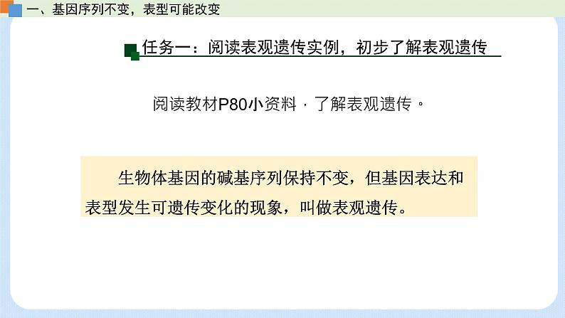 第三章 第五节 生物体存在表观遗传现象（课件）-高一生物课件（浙科版2019必修2）06