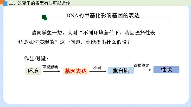 第三章 第五节 生物体存在表观遗传现象（课件）-高一生物课件（浙科版2019必修2）08