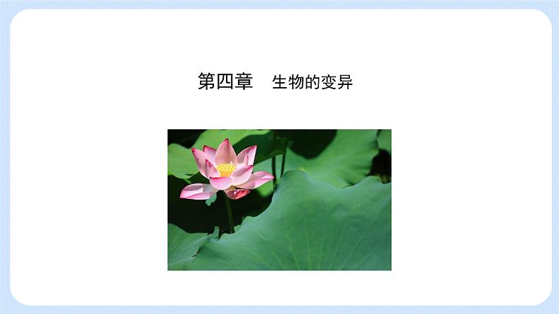 第四章 第一节 基因突变可能引起性状改变-高一生物课件（浙科版2019必修2）02