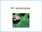 第四章 第一节 基因突变可能引起性状改变-高一生物课件（浙科版2019必修2）