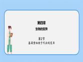 第四章 第二节 基因重组使子代出现变异-高一生物课件（浙科版2019必修2）
