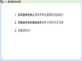 第四章 第二节 基因重组使子代出现变异-高一生物课件（浙科版2019必修2）