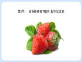 第四章 第三节 染色体畸变可能引起性状改变-高一生物课件（浙科版2019必修2）