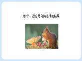 第五章 第二节 适应是自然选择的结果（课时1）-高一生物课件（浙科版2019必修2）