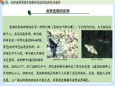 第五章 第二节 适应是自然选择的结果（课时2）-高一生物课件（浙科版2019必修2）