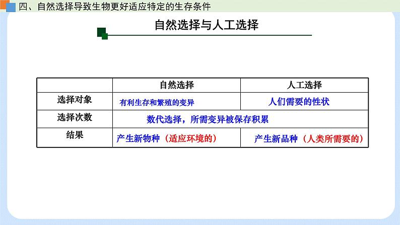 第五章 第二节 适应是自然选择的结果（课时2）-高一生物课件（浙科版2019必修2）第7页