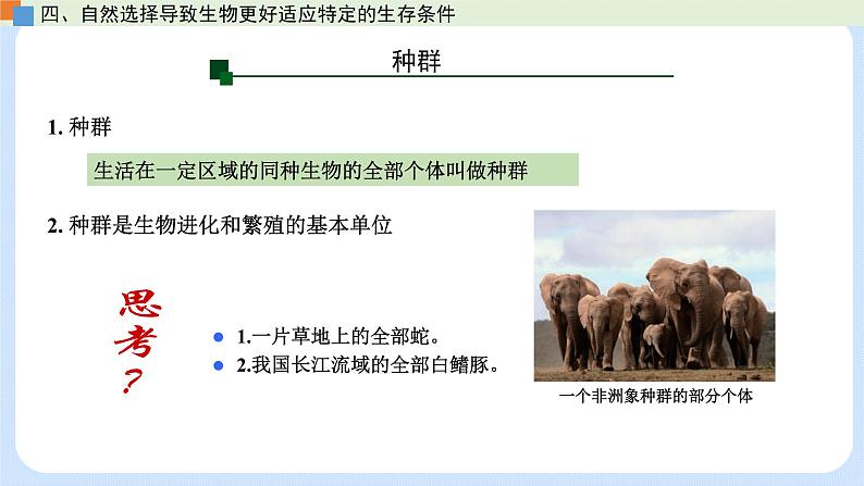 第五章 第二节 适应是自然选择的结果（课时2）-高一生物课件（浙科版2019必修2）第8页