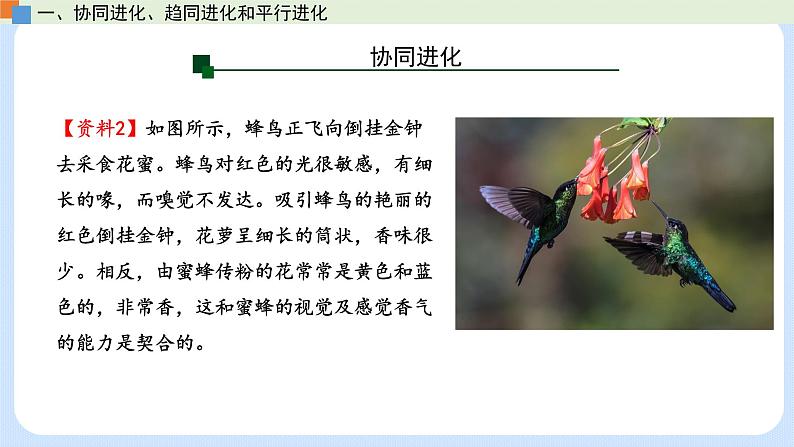 第五章 第三节 生物多样性为人类生存提供资源与适宜环境-高一生物课件（浙科版2019必修2）08