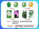 浙科版高中生物必修二：孟德尔从一对相对性状的杂交实验中总结出分离定律课件+学案+教案