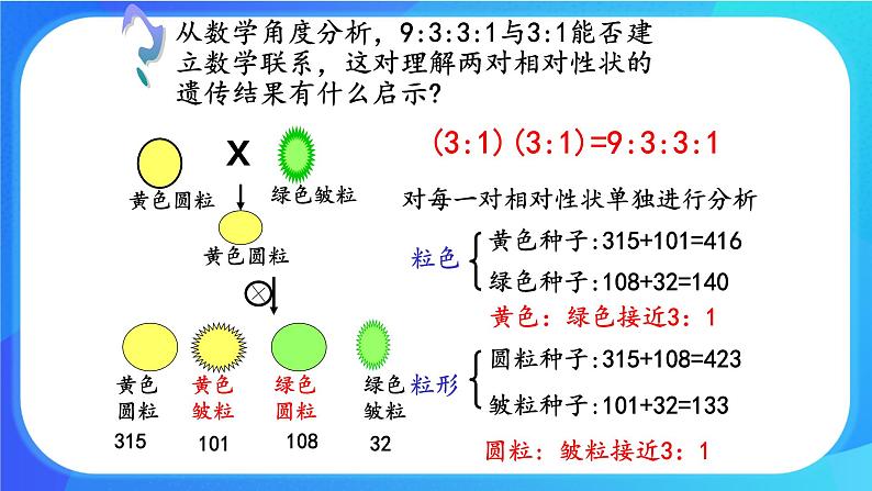 (课件)孟德尔从两对相对性状的杂交实验中总结出自由组合定律第5页