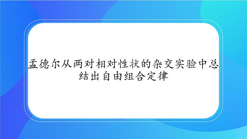 (课件)孟德尔从两对相对性状的杂交实验中总结出自由组合定律.ppt第1页