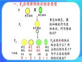 浙科版高中生物必修二：孟德尔从两对相对性状的杂交实验中总结出自由组合定律课件+学案+教案