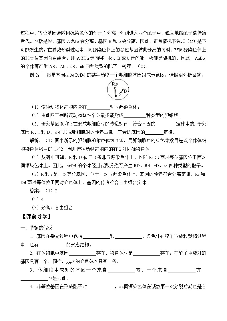 浙科版高中生物必修二：基因伴随染色体传递课件+学案+教案02