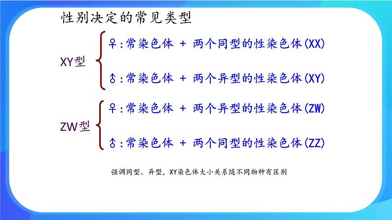 (课件)性染色体上基因的传递和性别相关联.ppt第7页