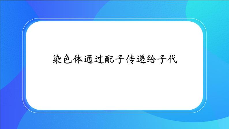 浙科版高中生物必修二：染色体通过配子传递给后代课件+学案+教案01