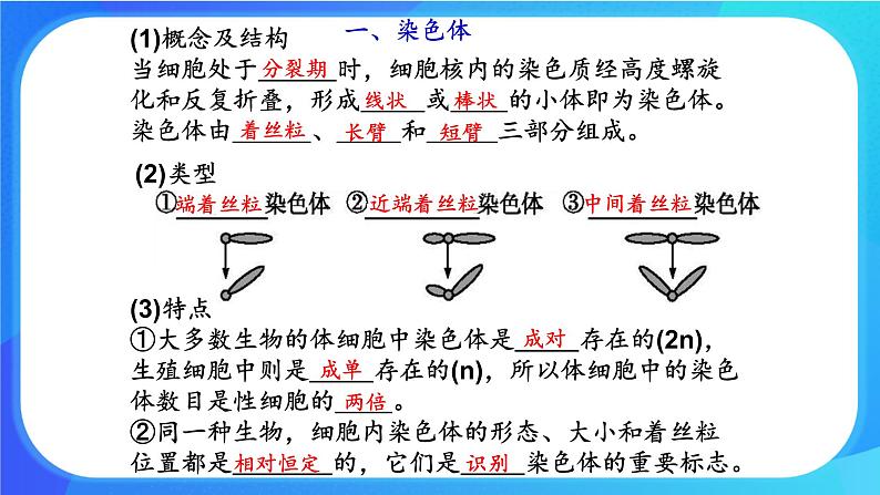 浙科版高中生物必修二：染色体通过配子传递给后代课件+学案+教案02