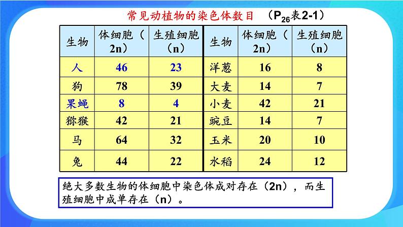 浙科版高中生物必修二：染色体通过配子传递给后代课件+学案+教案04