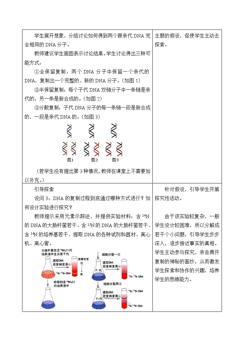 (教案)DNA通过复制传递遗传信息第3页
