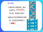 浙科版高中生物必修二：DNA通过复制传递遗传信息课件+学案+教案