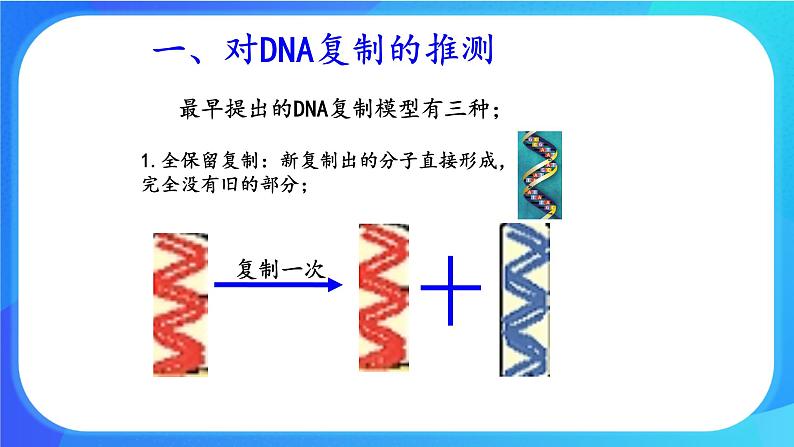 浙科版高中生物必修二：DNA通过复制传递遗传信息课件+学案+教案04