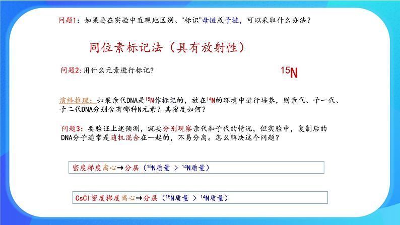 浙科版高中生物必修二：DNA通过复制传递遗传信息课件+学案+教案07