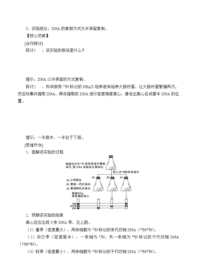 (学案)DNA通过复制传递遗传信息第2页