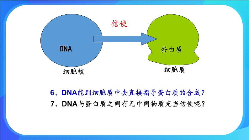 浙科版高中生物必修二：基因控制蛋白质合成课件+学案+教案06