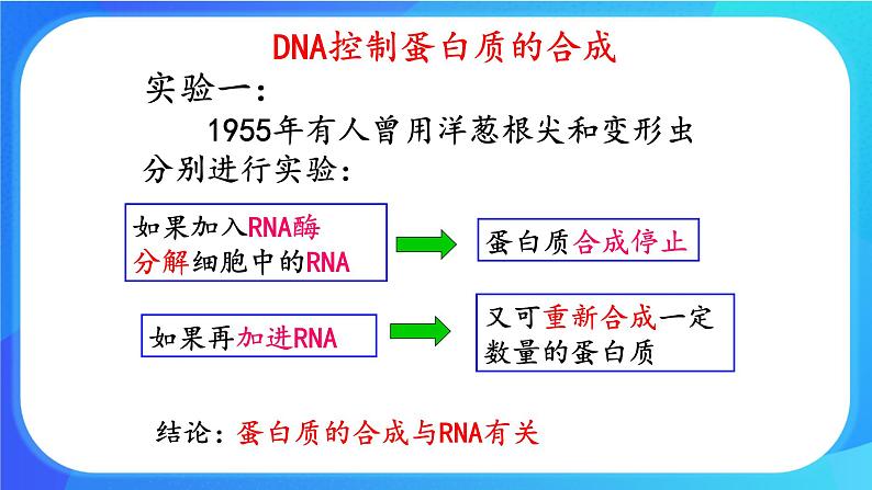 浙科版高中生物必修二：基因控制蛋白质合成课件+学案+教案07