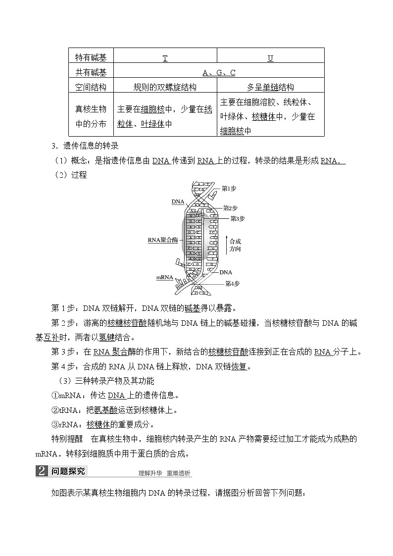 浙科版高中生物必修二：基因控制蛋白质合成课件+学案+教案02