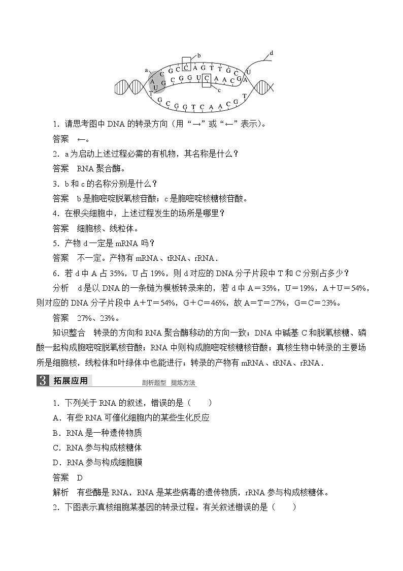 浙科版高中生物必修二：基因控制蛋白质合成课件+学案+教案03