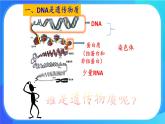 浙科版高中生物必修二：核酸是遗传物质课件+学案+教案