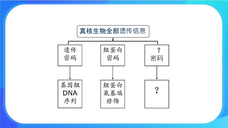 (课件)生物体存在表观遗传现象.ppt第6页