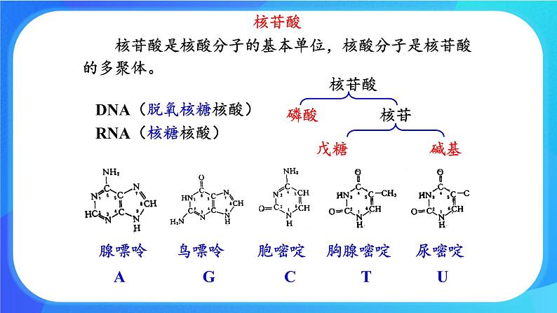 浙科版高中生物必修二：遗传信息编码在DNA分子上课件+学案+教案03